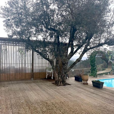 Refugios Do Rio Dao Villa Mangualde Kültér fotó