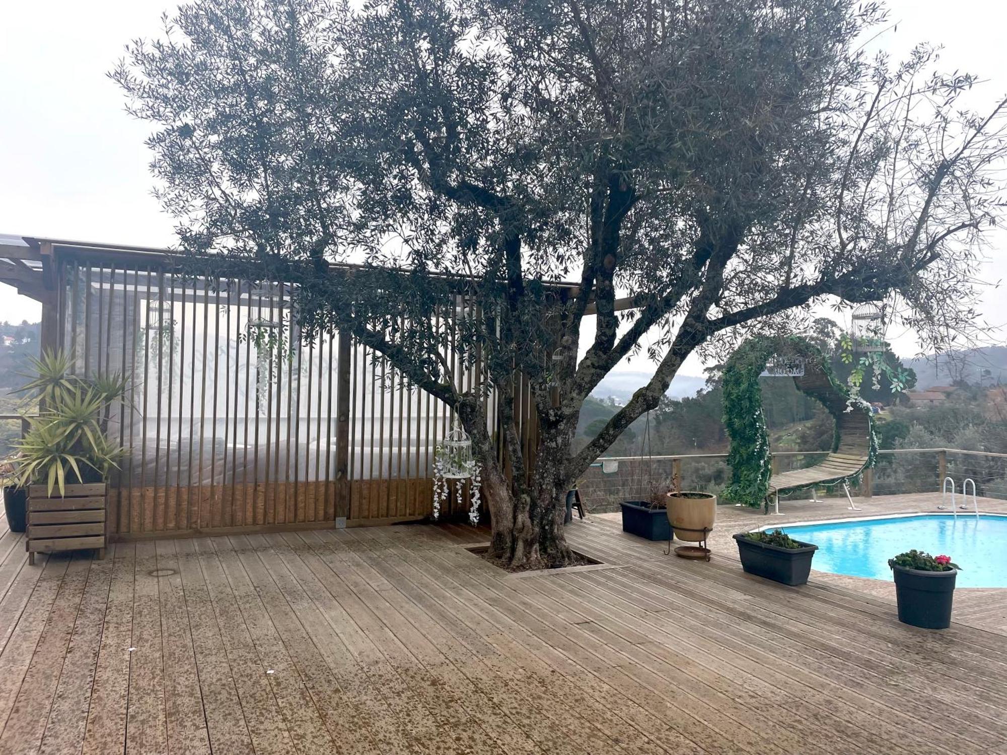 Refugios Do Rio Dao Villa Mangualde Kültér fotó